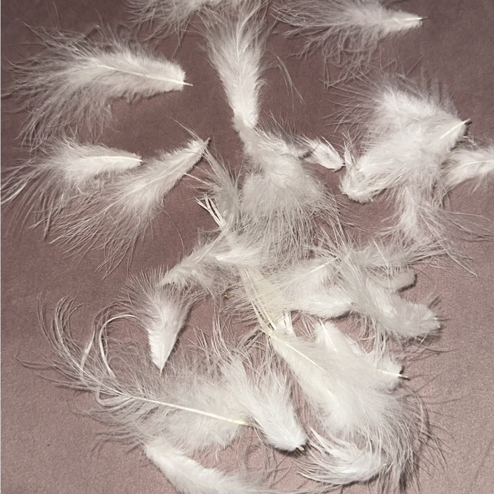 Othr White Feather Hair Accessories